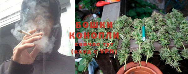 хмурый Козловка