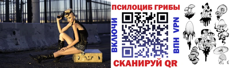 где найти наркотики Арзамас гидра сайт Псилоцибиновые грибы мухоморы